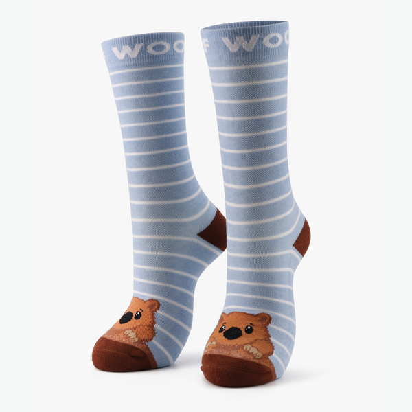 //eu.drwoofapparel.com/cdn/shopifycloud/storefront/assets/no-image-2048-a2addb12_grande.gif